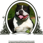 www